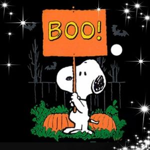 Meet your Posher, Rita